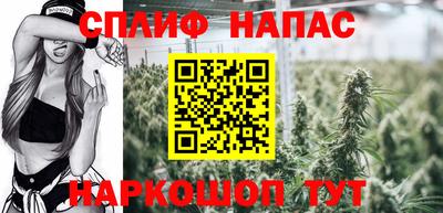 mdma Гатчина