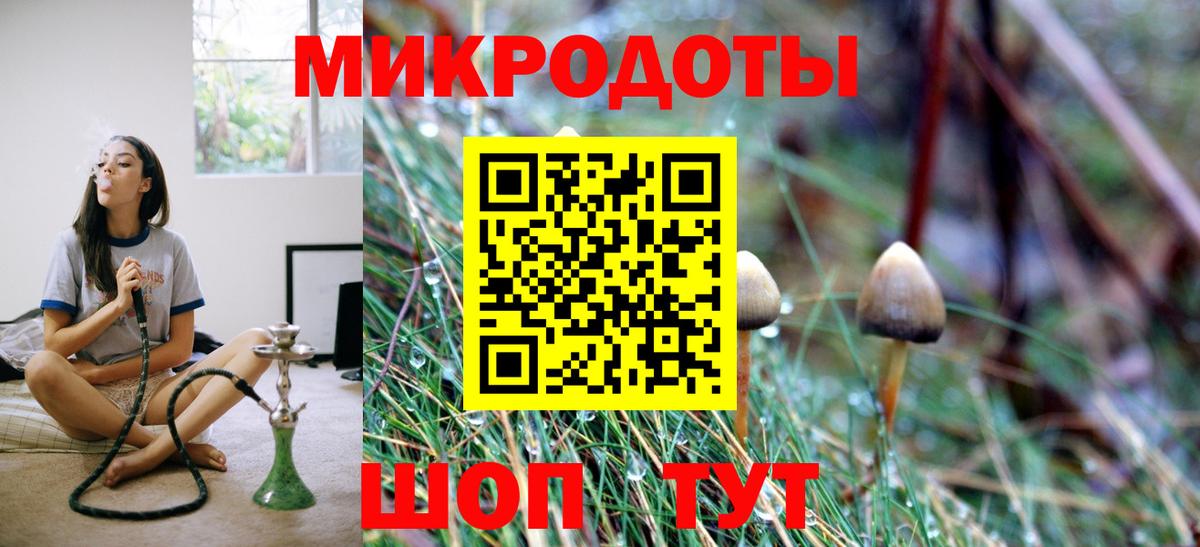 Псилоцибиновые грибы GOLDEN TEACHER Гусь-Хрустальный