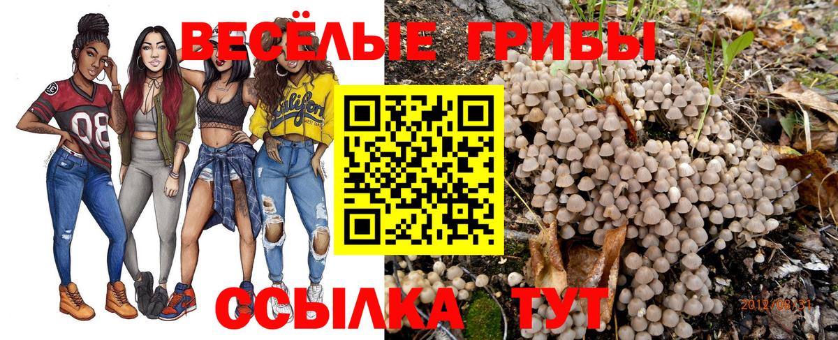Псилоцибиновые грибы MAGIC MUSHROOMS  Вход с VPN  Гусь-Хрустальный  Псилоцибиновые грибы Psilocybe 
